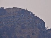 69 Dal Molinasco (1179 m) zoom sul Pizzo Grande (1574 m) appena salito